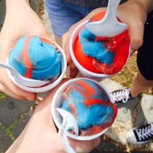 Meet your Posher, Alice